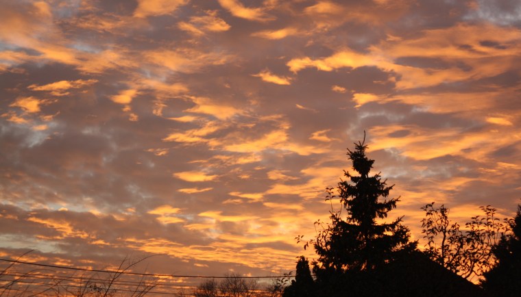 photography autumn sunset