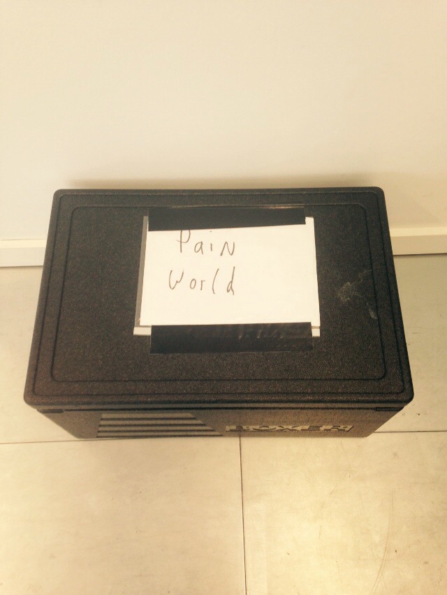 pain world