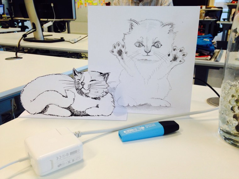 awesome cat drawings
