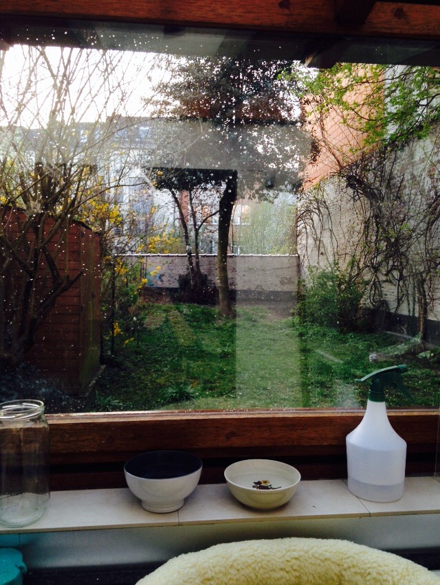 city garden in brussels