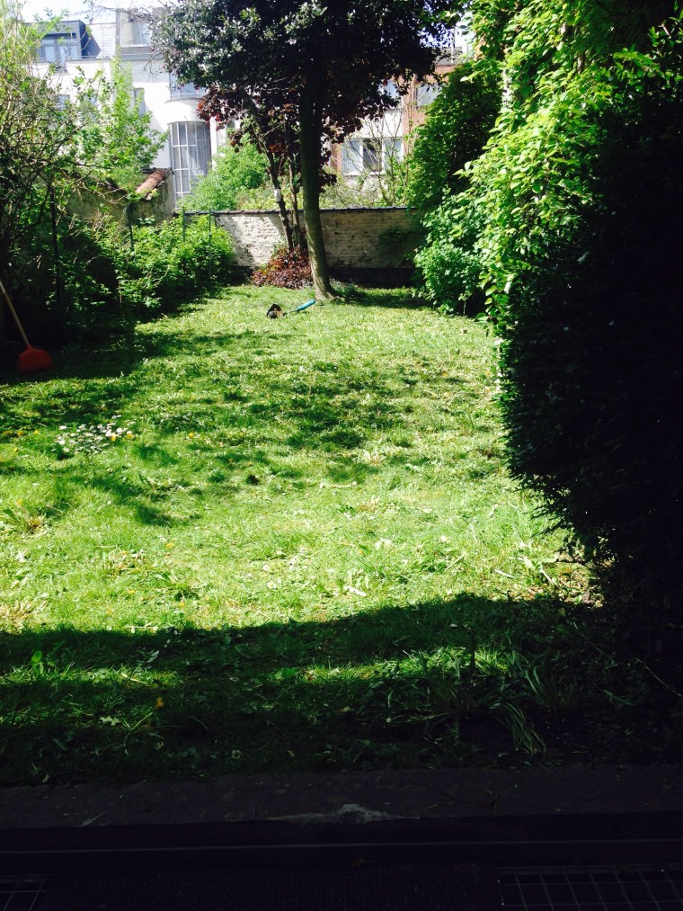 brussels city garden